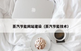 新安蒸汽节能网站建设（蒸汽节能技术）